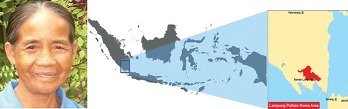 2767434D58B632A7281F89