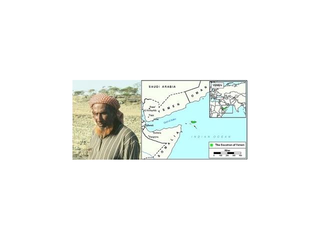 UUPG 제479번째 – 예멘의 소코트란 종족 (Socotran in Yemen)